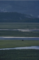Scenics057.JPG