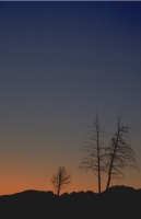 Scenics068.JPG