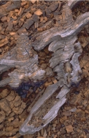 SticksAndStones015.JPG