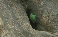 SticksAndStones021.JPG