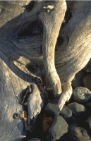 SticksAndStones029.JPG