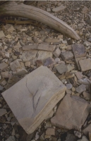 SticksAndStones032.JPG