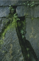 SticksAndStones036.JPG