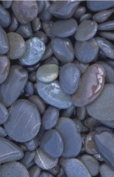 SticksAndStones047.JPG