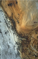 SticksAndStones056.JPG