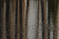 IMG_1069_V.JPG