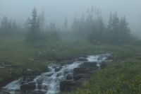 IMG_2587_H.JPG