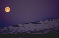 Scenics001.JPG