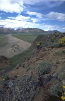 Scenics007.JPG