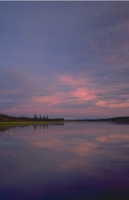 Scenics016.JPG