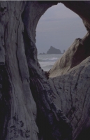 Scenics033.JPG