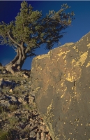 Scenics035.JPG