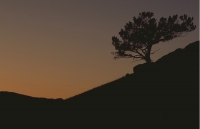 Scenics036.JPG