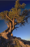 Scenics037.JPG