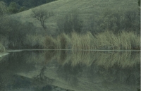 Scenics046.JPG